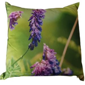 Viva Lavendel